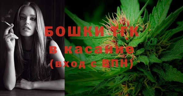 PSILOCYBIN Дмитриев