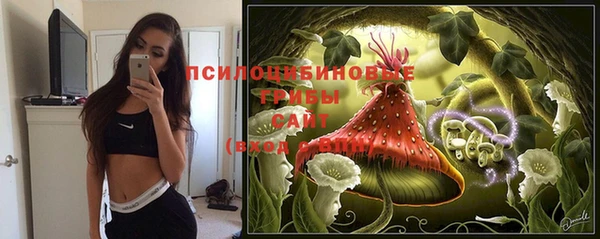 метадон Медногорск